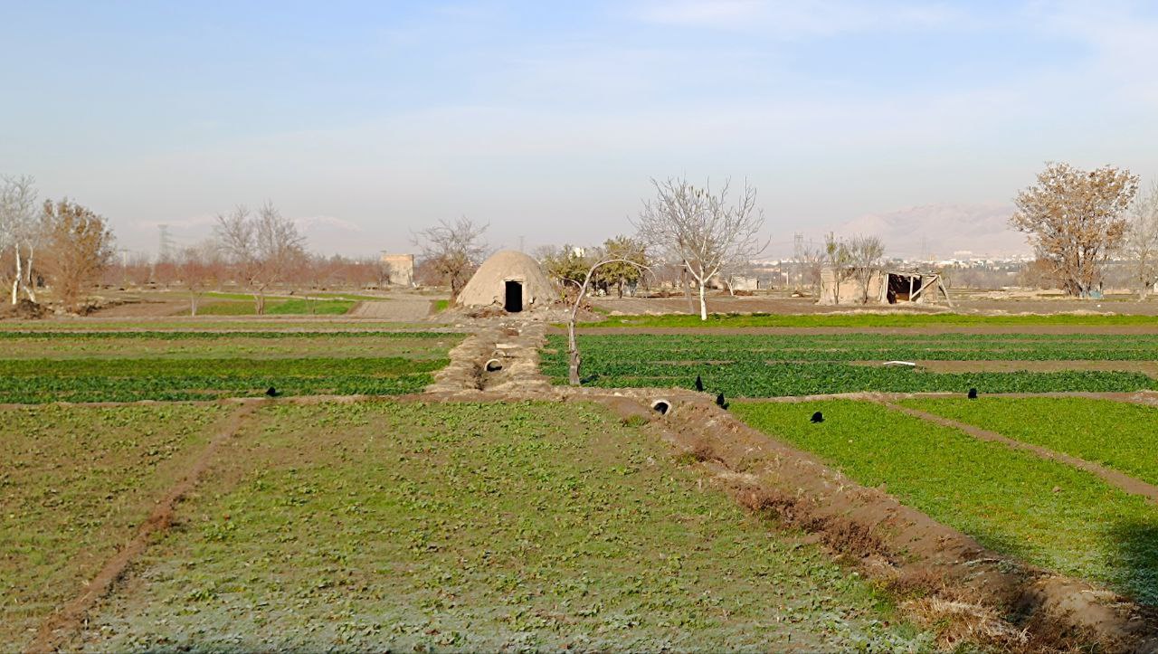 باغ در پاییز حکم آباد